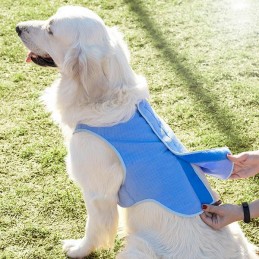 Un chaleco para perros ideal para el verano, ya que proporciona una agradable y relajante sensación de frescor.