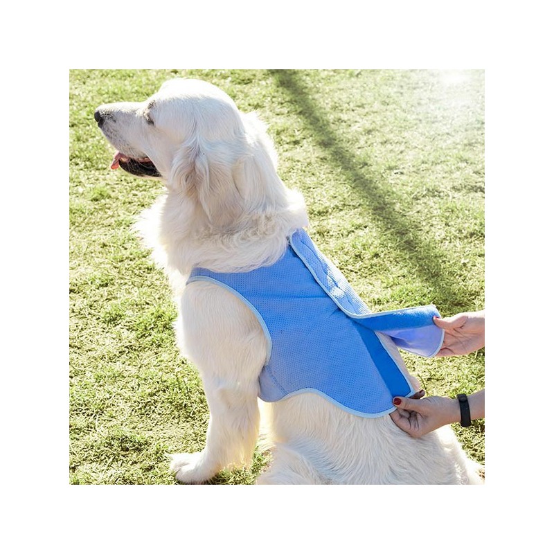 Un chaleco para perros ideal para el verano, ya que proporciona una agradable y relajante sensación de frescor.