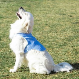 Un chaleco para perros ideal para el verano, ya que proporciona una agradable y relajante sensación de frescor.