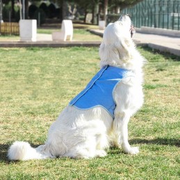 Un chaleco para perros ideal para el verano, ya que proporciona una agradable y relajante sensación de frescor.