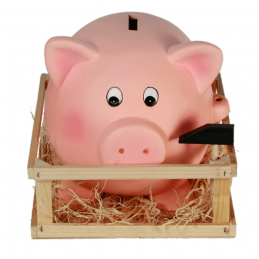 La Tirelire XL est depuis longtemps une idée cadeau pour les plus jeunes, elle a une forme ronde et rigolote.
