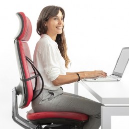 Il supporto lombare universale ti consente di mantenere una buona postura quando sei seduto, sia in macchina, su una sedia da ufficio o a casa