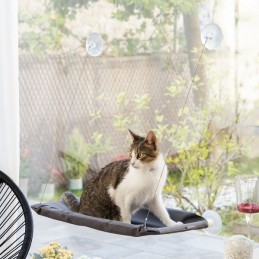 Hängendes Katzenbett. Perfekt, damit Haustiere bequem ihren eigenen Raum genießen können