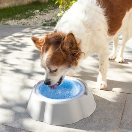 A simple and effective solution for your pets to drink more water and stay well hydrated, especially during the summer season.