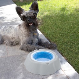 A simple and effective solution for your pets to drink more water and stay well hydrated, especially during the summer season.