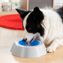 A simple and effective solution for your pets to drink more water and stay well hydrated, especially during the summer season.