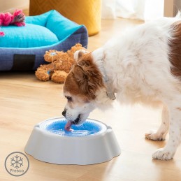 A simple and effective solution for your pets to drink more water and stay well hydrated, especially during the summer season.