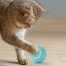 Delight your felines and stimulate their natural hunting impulses thanks to this smart toy.