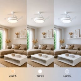 Ventoinha de Teto com Luz LED e Pás Retráteis 72 W Ventoinha de teto com luz LED, 4 pás retráteis, comando, 6 velocidades, temporizador e função verão/inverno. Ideal para divisões até 25 m2