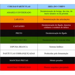 Hidrossana Detox Pie desintoxicante celular. Equipos digitales de última generación que favorecen la desintoxicación del organismo.