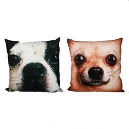 Dogs and Cats Cushion