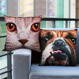 Dogs and Cats Cushion