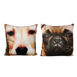 Dogs and Cats Cushion