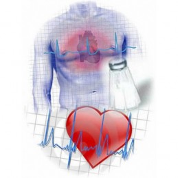 Medidor de Tensão Arterial Pulso, Um dispositivo muito útil para medir a tensão arterial sempre que necessário.