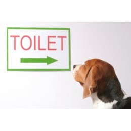 Potty Trainer Medium - Toilet mat for dogs