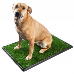 Potty Trainer Medium - Alfombrilla de baño para perros