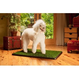 Potty Trainer Medium - Alfombrilla de baño para perros