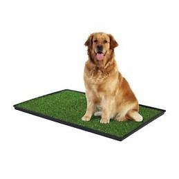 Potty Trainer Medium - Alfombrilla de baño para perros