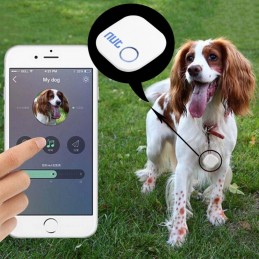 Localizador de objectos, animais e crianças, localize e vigie com este localizador para IOS ou Android