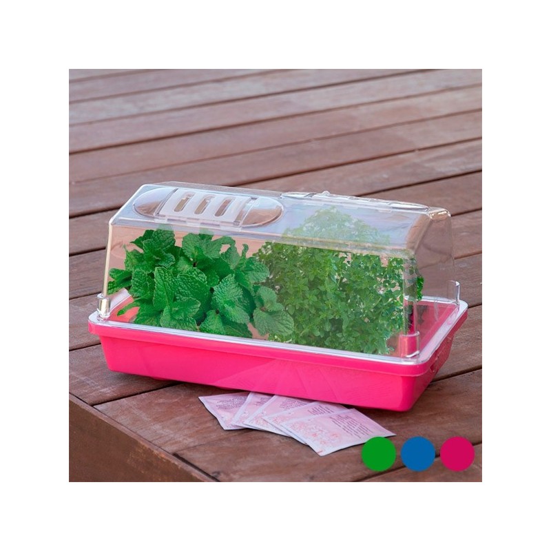 Estufa para casa com sementes Se deseja ter um jardim em casa, para que os seus filhos possam observar o crescimento de plantas, vegetais e flores, não deixe escapar a Estufa para casa com sementes