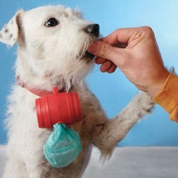 Portasacco per escrementi di cane, con 15 sacchetti di plastica per raccogliere gli escrementi che il cane lascia sul marciapiede o al parco