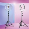 Ring Light Deluxe - 30cm adjustable LED ring light