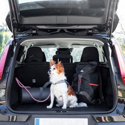 Der ideale individuelle Versicherungsschutz, um mit Ihrem Haustier überall hin zu reisen, ganz beruhigt und bequem.