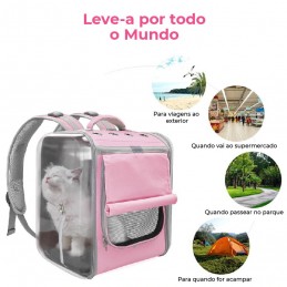 Make your four-legged friend feel safe and comfortable while allowing him to have a wider view of the outside world.
