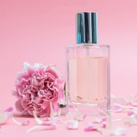 Perfumes Genéricos Para Mulher - Low Cost